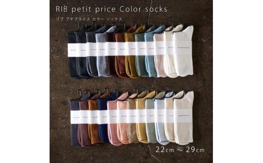 7-196 HARUSAKU [ CC ] ハルサク リブカラー ソックス 靴下 5P set 22cm～24cm 22cm～24cm