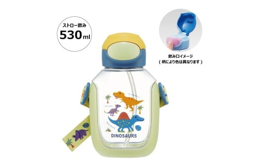ワンプッシュストローボトル 530ml ディノサウルス スケーター〈skater〉水筒 ワンプッシュオープン 奈良県 奈良市 なら 6-315