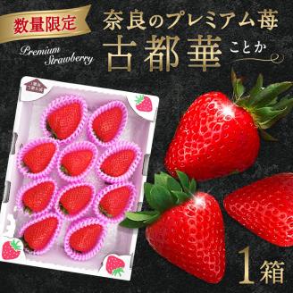 [予約販売2025年1月〜][数量限定]奈良のプレミアム苺「古都華」 苺 いちご イチゴ 奈良 なら 大粒