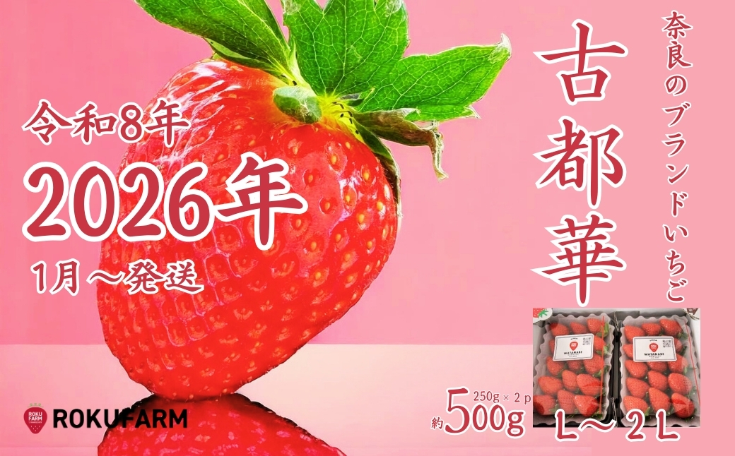 ★★2026年予約販売開始★★【2026年（令和8年）1月～発送】  「6FARMの 古都華いちご」 限定出荷 〈6FARM〉 いちご 苺 奈良ブランド苺 イチゴ ブランド 古都華 大粒 奈良県 奈良市 なら 10-205