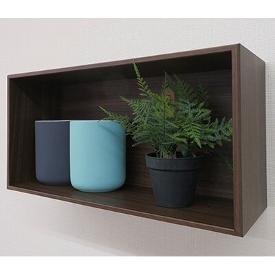 薄型ユニットシェルフ「V-TISS LIGHT」 ハーフ浅型 ブラックウォールナット【配送不可地域：離島】