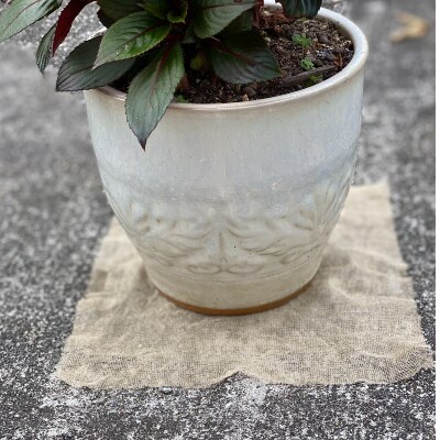 【園芸用】 防虫銅シート 1枚入り×10袋セット (銅シート10枚)