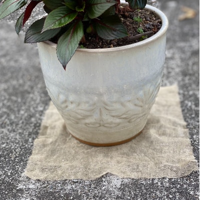 【園芸用】 防虫銅シート 1枚入り × 5袋セット  (銅シート5枚)