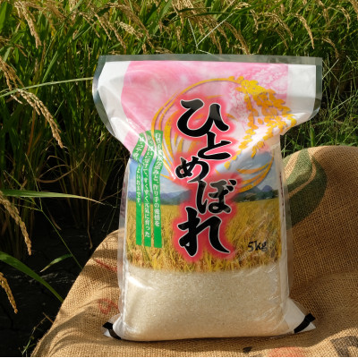 【令和7年産】奈良県産 ひとめぼれ 精米 10kg ( 5kg×2 )