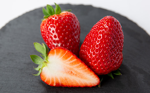 令和8年度　春いちご　古都華　約300g×4パック　合計約1200g【配送不可地域：離島・北海道・沖縄県】