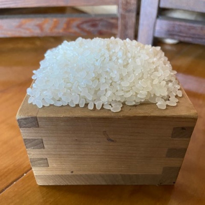 お米　ヒノヒカリ　(白米)10kg