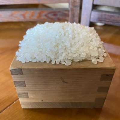 【毎月定期便】お米　ヒノヒカリ　(白米)10kg×全3回