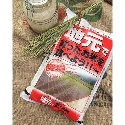 2023年3月発送開始『定期便』【毎月お届け】奈良県大和高田市産　ヒノヒカリ5kg 全12回