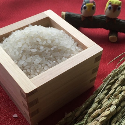 2023年1月発送開始『定期便』  奈良県大和高田市産ヒノヒカリ5kg 全3回