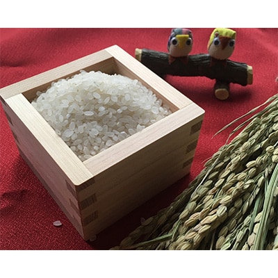 2024年5月発送開始『定期便』【無洗米】奈良県大和高田市産ヒノヒカリ5kg 全6回