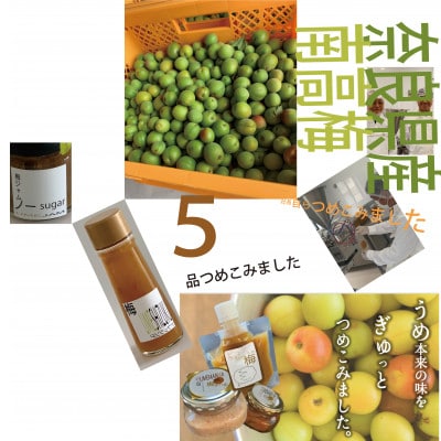 ゼロ塩梅お試しセット