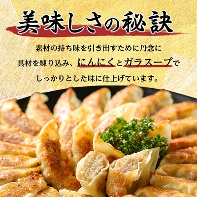 鉄人餃子　300個(30個×10袋)【配送不可地域：離島】