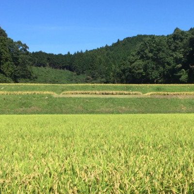 【令和7年産】奈良県産 ひとめぼれ 精米 5kg