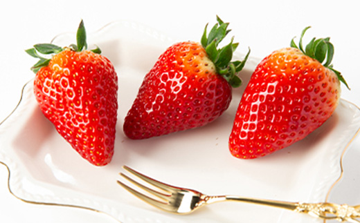 令和8年度　春いちご　古都華　約300g×4パック　合計約1200g【配送不可地域：離島・北海道・沖縄県】