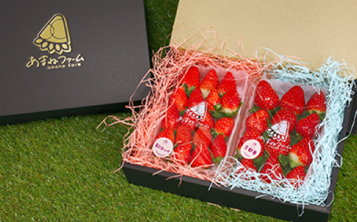 奈良県産【朝摘み・農家直送】古都華＆紅ほっぺ食べ比べセット 化粧箱入(約250g 各1P計2パック)【配送不可地域：離島】