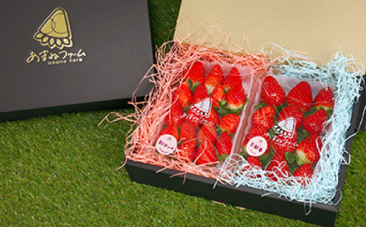奈良県産【朝摘み・農家直送】高級いちご《古都華》 化粧箱入り(約250g×2パック)【配送不可地域：離島】