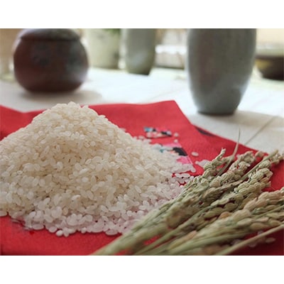 2024年4月発送開始『定期便』【無洗米】奈良県大和高田市産ヒノヒカリ5kg 全3回