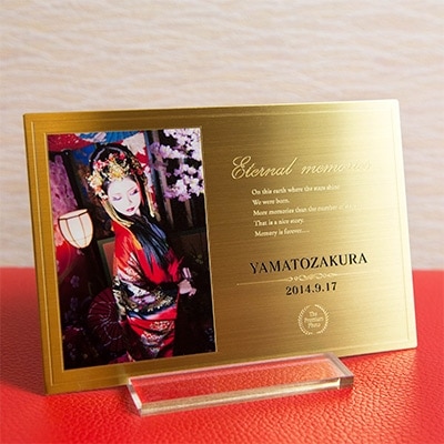 3種の変身+高級フォトプレートの豪華プラン(1名様分)