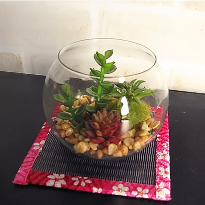 ミニ畳2点+畳コースター5枚セット【配送不可地域：離島・北海道・沖縄県】