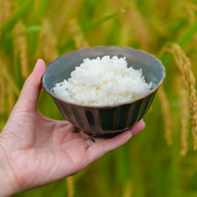 【令和7年産】奈良県産 ヒノヒカリ 精米 5kg