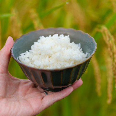 【令和7年産】奈良県産 あきたこまち 精米 5kg