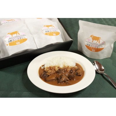 レストランVERDE辻甚　特製ビーフカレー　250g×5個【配送不可地域：離島】