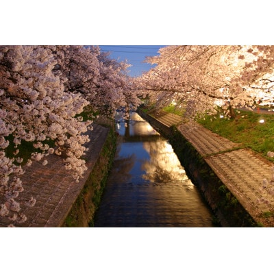 【返礼品なし】ふるさと大和高田応援寄附金　1口:1,000円