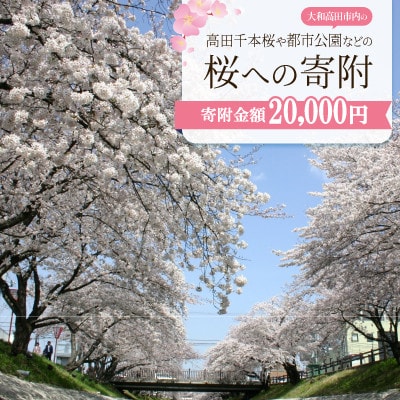【返礼品なし】高田千本桜や大和高田市内の都市公園などの桜への寄附　1口:20,000円
