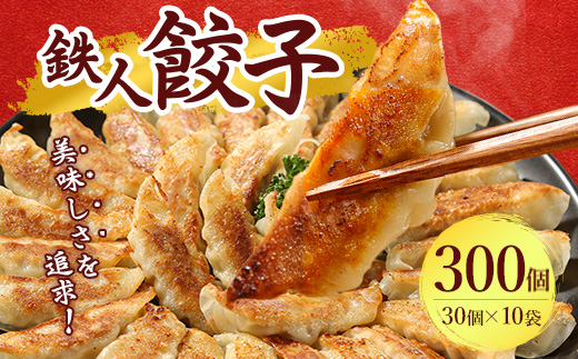 鉄人餃子　300個(30個×10袋)【配送不可地域：離島】