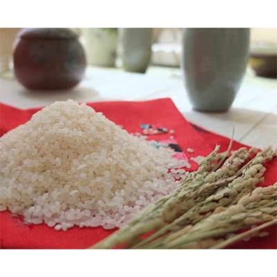 2022年12月発送開始『定期便』奈良県大和高田市産ヒノヒカリ5kg×2 合計10kg 全12回