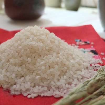 2022年11月発送開始『定期便』  奈良県大和高田市産ヒノヒカリ5kg 全6回