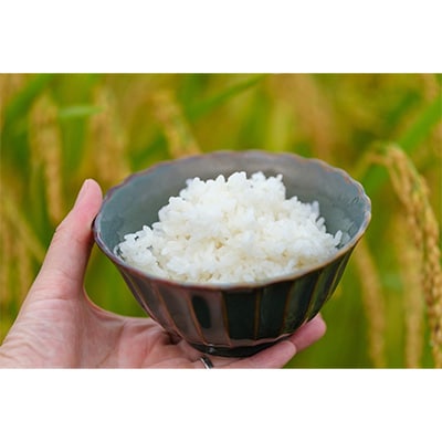 2024年5月発送開始『定期便』【無洗米】奈良県大和高田市産ヒノヒカリ5kg 全12回