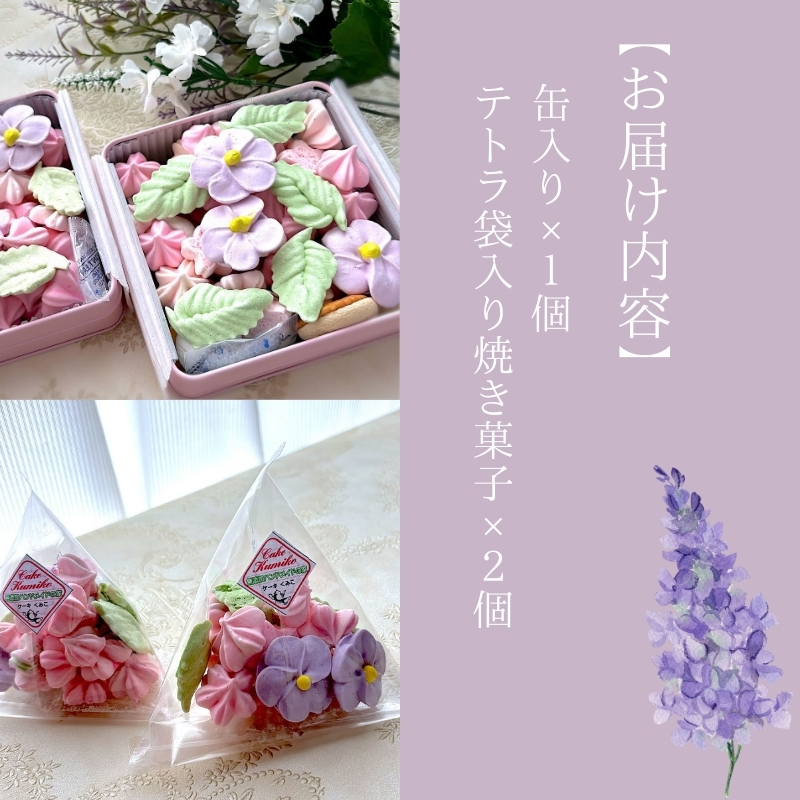 クッキー 季節のかわいいメレンゲクッキーセット 洋菓子 焼き菓子 お菓子 メレンゲクッキー メレンゲ セット コーヒー フランボワーズ 和三盆糖 甘じょっぱい 大和郡山市 奈良県