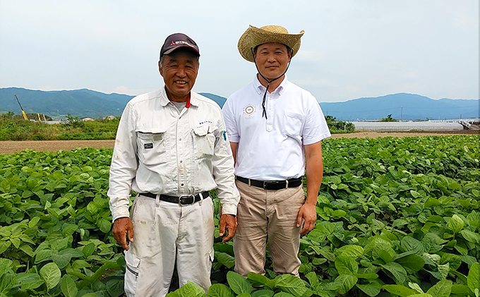 大鉄砲豆冨詰合せ（全5種類）