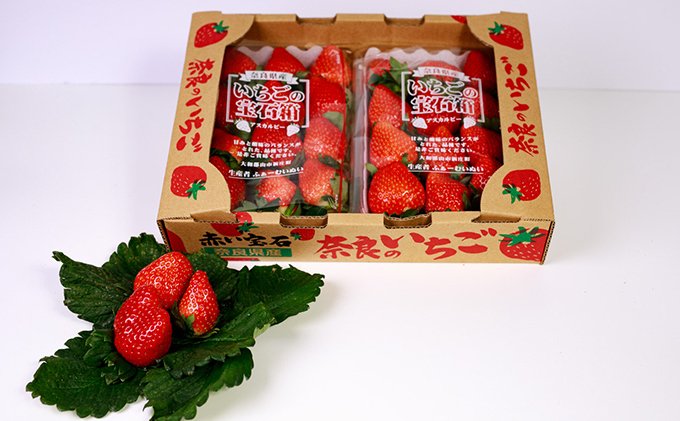 【2026年1月より出荷開始】いちご あすかルビー 約270g × 2パック フルーツ 果物 旬 産地直送 旬のフルーツ 旬の果物 お取り寄せ おやつ デザート アスカルビー 苺 冷蔵 冷蔵配送 奈良 奈良県 BN001