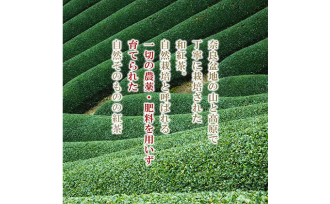 銀河工場の抹茶・和紅茶ロールケーキセット