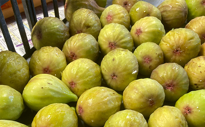 自家栽培いちじくのドライフルーツ～ドーフィンとバナーネの2種セット～