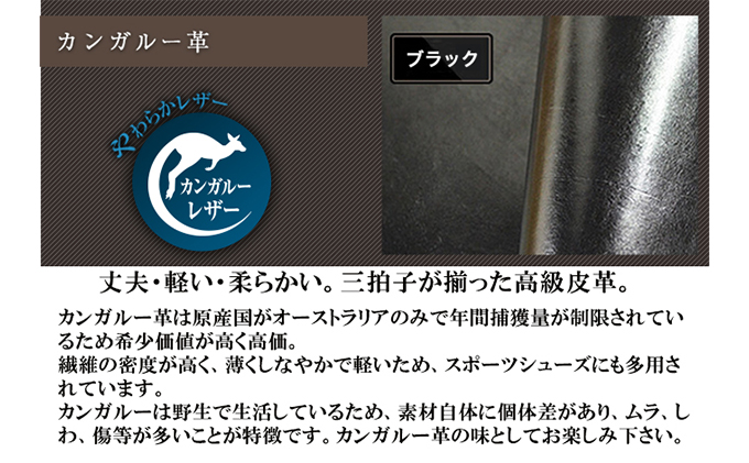 本革 ビジネスシューズ 革靴 紳士靴 5cmアップ シークレットシューズ ストレートチップ 幅広 ワイド No.716 ブラック 24.5