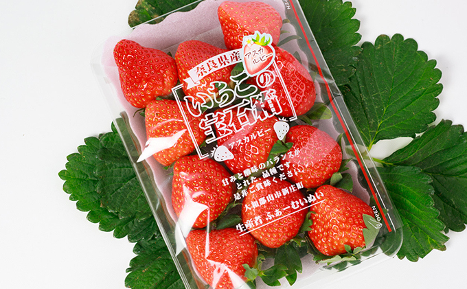【2026年1月より出荷開始】いちご あすかルビー 約270g × 2パック フルーツ 果物 旬 産地直送 旬のフルーツ 旬の果物 お取り寄せ おやつ デザート アスカルビー 苺 冷蔵 冷蔵配送 奈良 奈良県 BN001