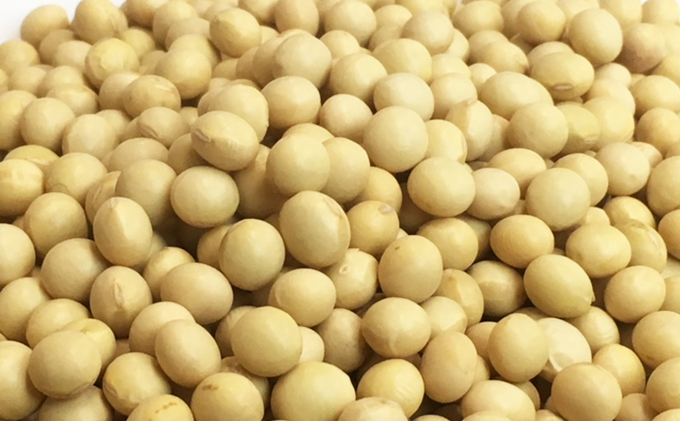 天然醸造　長期熟成　純生　国産丸大豆こいくち醤油 3本セット　慈光会特製しょうゆ　無添加　調味料　丸大豆　濃口