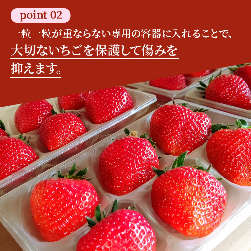 【先行予約】いちご 完熟 あすかルビー 約540g(270g× 2パック ) 佃農園のこだわり フルーツ 果物 旬 産地直送 旬のフルーツ 旬の果物 お取り寄せ おやつ デザート イチゴ 苺 冷蔵 冷蔵配送 奈良 奈良県 大和郡山市