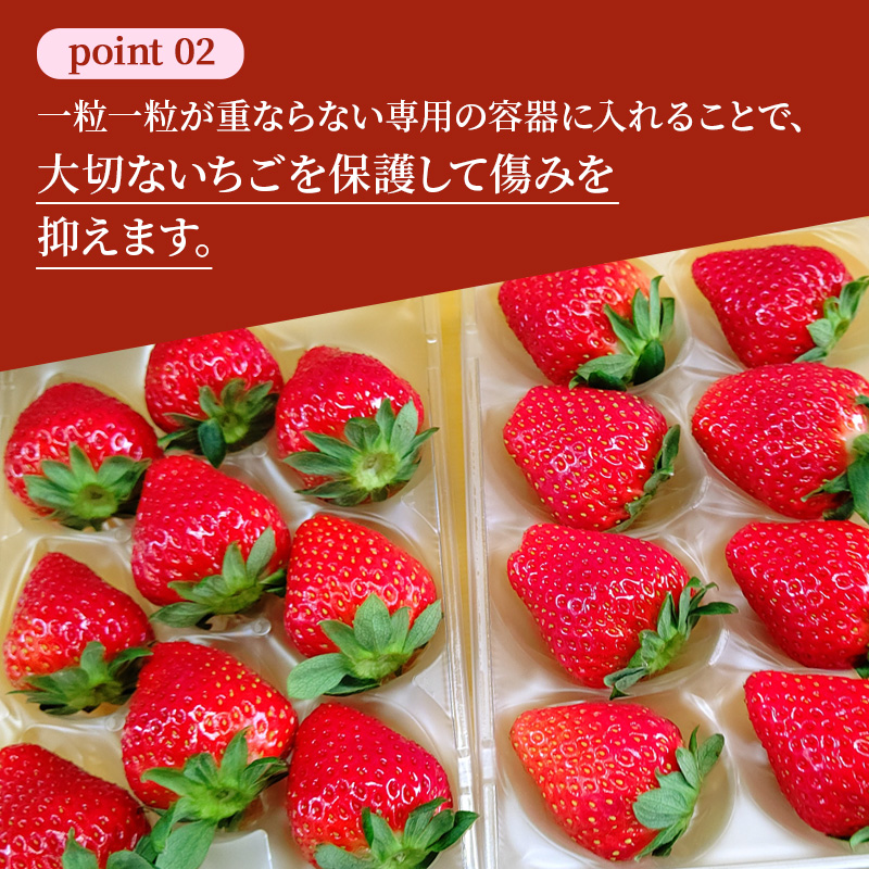 【先行予約】いちご 完熟 奈乃華 約540g(270g× 2パック ) 佃農園のこだわり フルーツ 果物 旬 産地直送 旬のフルーツ 旬の果物 お取り寄せ おやつ デザート イチゴ 苺 なのか 冷蔵 冷蔵配送 奈良 奈良県 大和郡山市