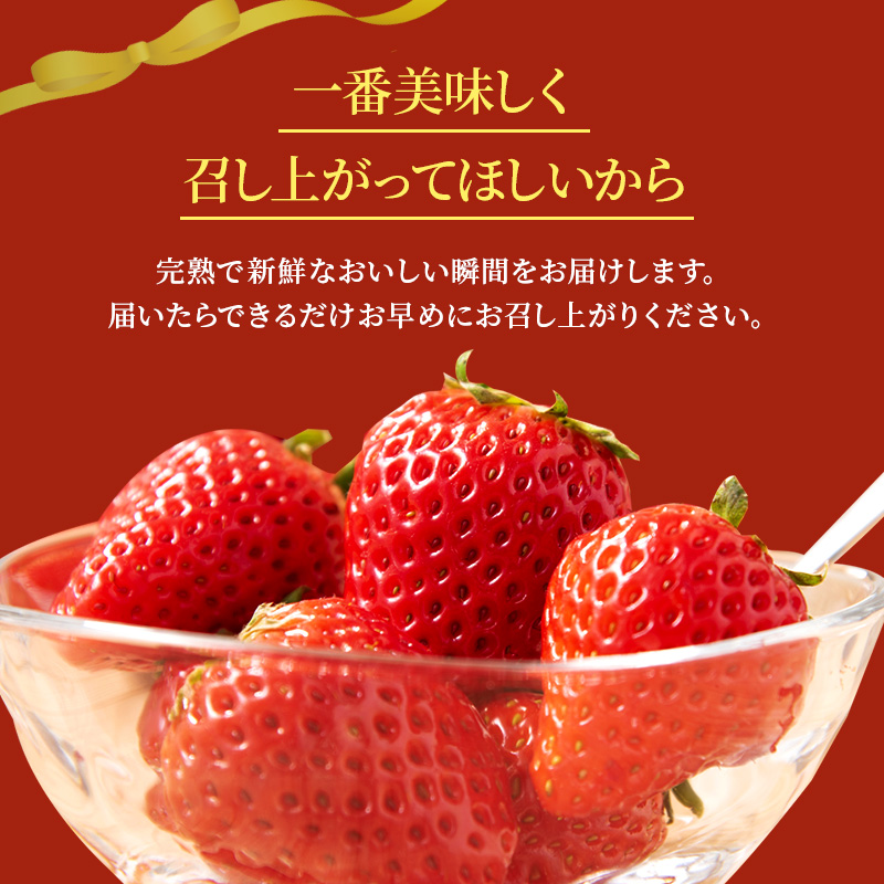 【先行予約】いちご 完熟 3種 食べ比べ 約1,080g(270g× 4パック ) セット 古都華 奈乃華 あすかルビー 詰め合わせ フルーツ 果物 旬 産地直送 デザート ことか 冷蔵 冷蔵配送