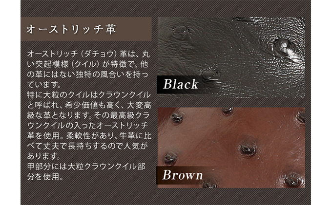 オーストリッチ革 ビジネスシューズ 革靴 本革 紳士靴 プレーン 4E ワイド No.1265 ブラック 25.5cm