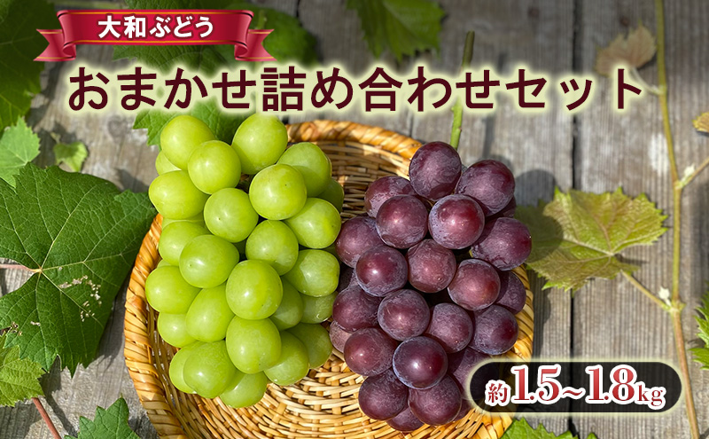 【大和ぶどう】おまかせ詰め合わせセット