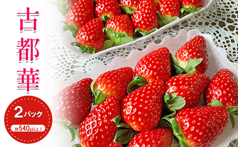 【先行予約】【2026年1月中旬出荷開始】いちご 古都華 約270g × 2パック フルーツ 果物 旬 産地直送 旬のフルーツ 旬の果物 お取り寄せ おやつ デザート 希少 ことか 苺 冷蔵 冷蔵配送 奈良 奈良県