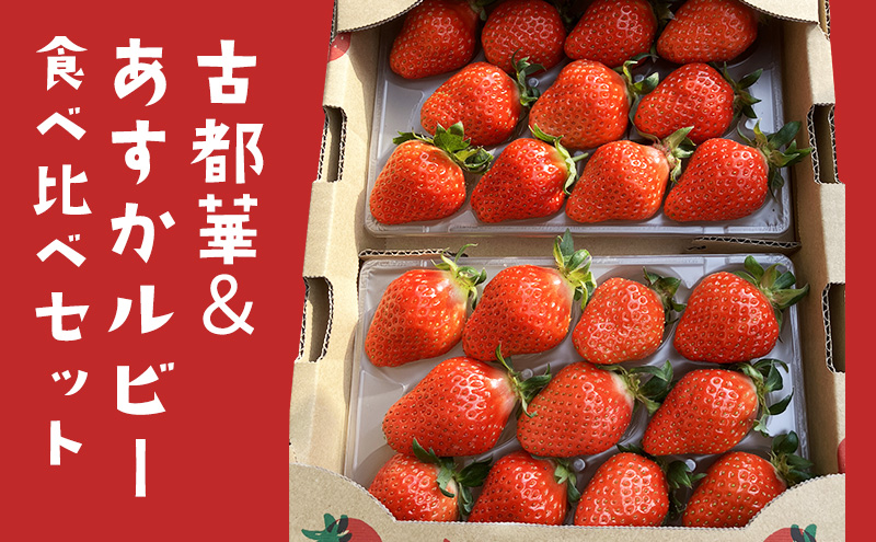 【2026年1月末より出荷開始】いちご 古都華 ＆ あすかルビー 食べ比べ セット 完熟いちご フルーツ 果物 旬 産地直送 旬のフルーツ 旬の果物 お取り寄せ おやつ デザート 希少 ことか 苺 冷蔵 冷蔵配送 奈良 奈良県