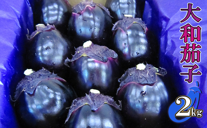【奈良・大和の伝統野菜】大和丸茄子2kg（8個もしくは9個入り） 野菜 ナス 高級食材 ホテル 料亭 食べやすい 人気 美味しい 濃い 給食 2キロ