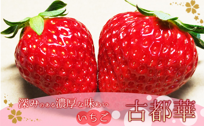 奈良県大和郡山市産いちご「古都華」