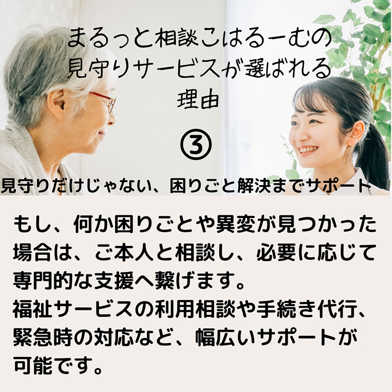 【親孝行は、ふるさと納税で】　ふるさとへ贈る安心　社会福祉士による見守り訪問サービスチケット　見守り 訪問 サービス 1か月分　月1回訪問　報告 安心 福祉 支援 サポート 代行 親孝行　社会福祉士